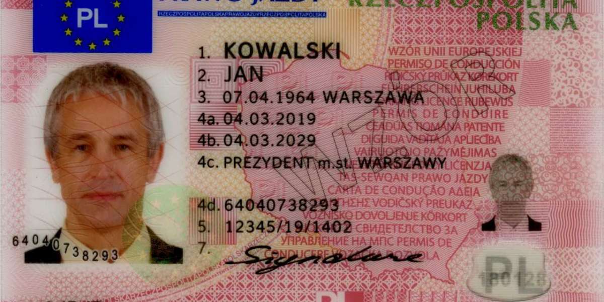 The Comprehensive Guide to Obtaining a Polish Driver's License (Prawo Jazdy B)