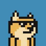 flyloong Profile Picture