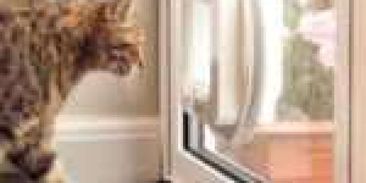 Where Will Cat Door Fixing Be 1 Year From This Year?