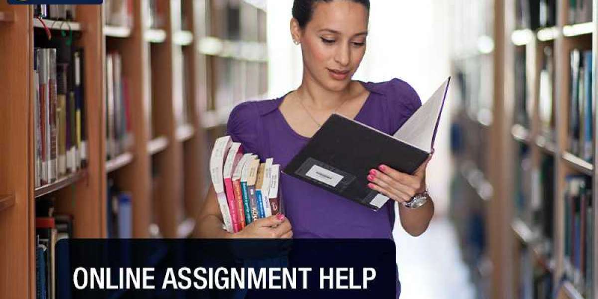 Are You Looking for Assignment Help in Ireland?