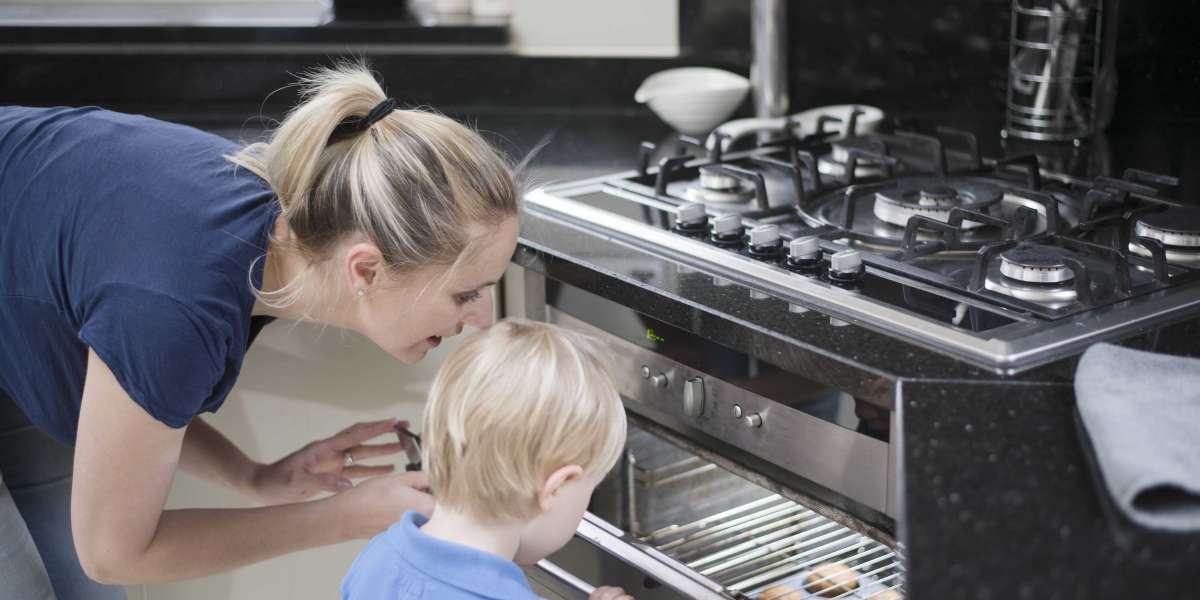 20 Fun Details About Built-In Ovens