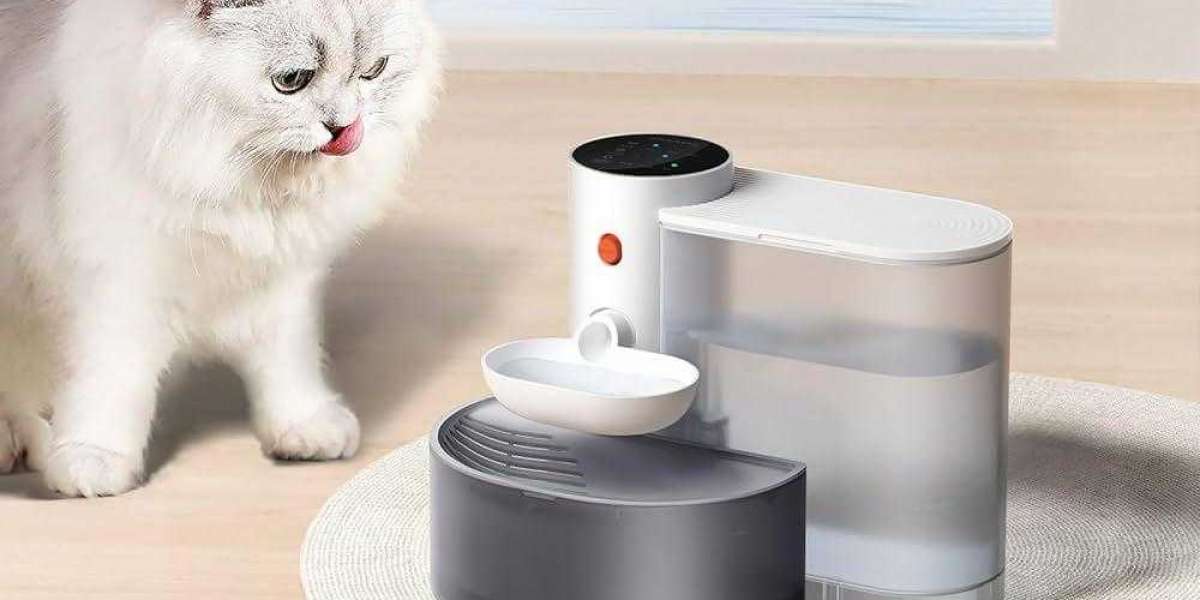 How Pawtechpet’s Cat Fountain Enhances Cat Health?