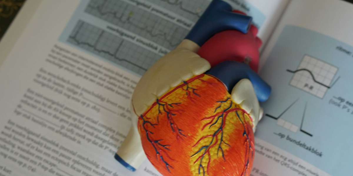 MBBS in Vietnam is valid in India