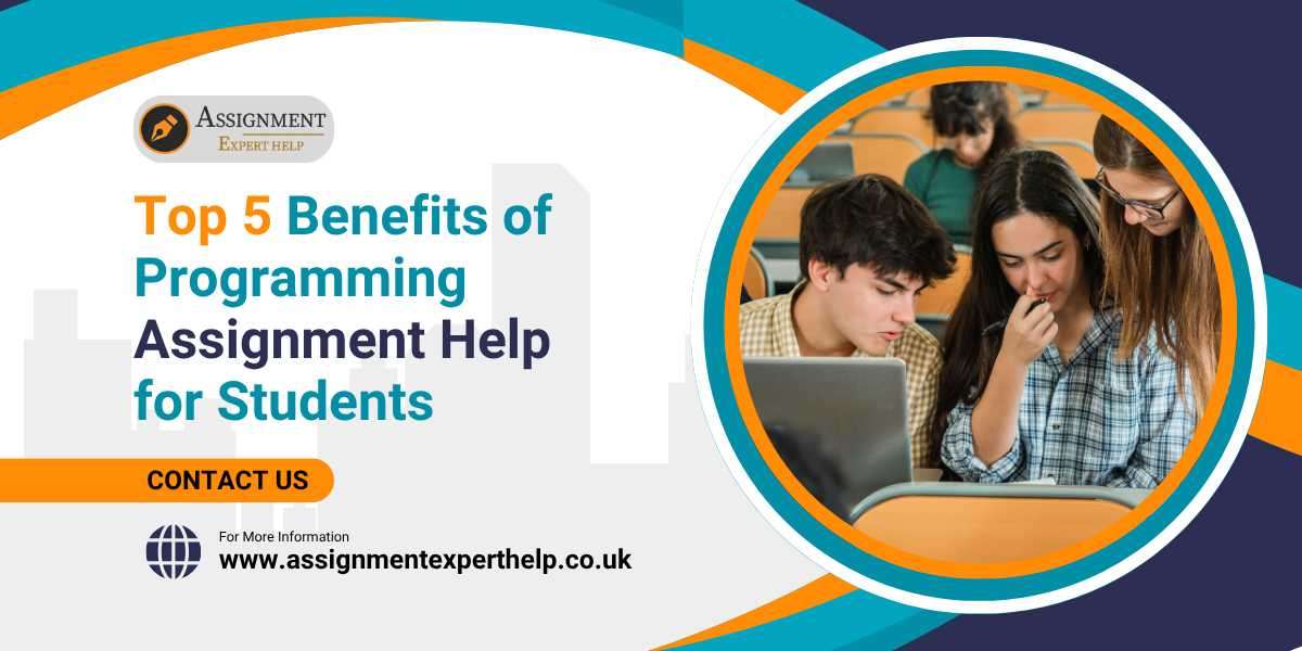 Top 5 Benefits of Programming Assignment Help for Students