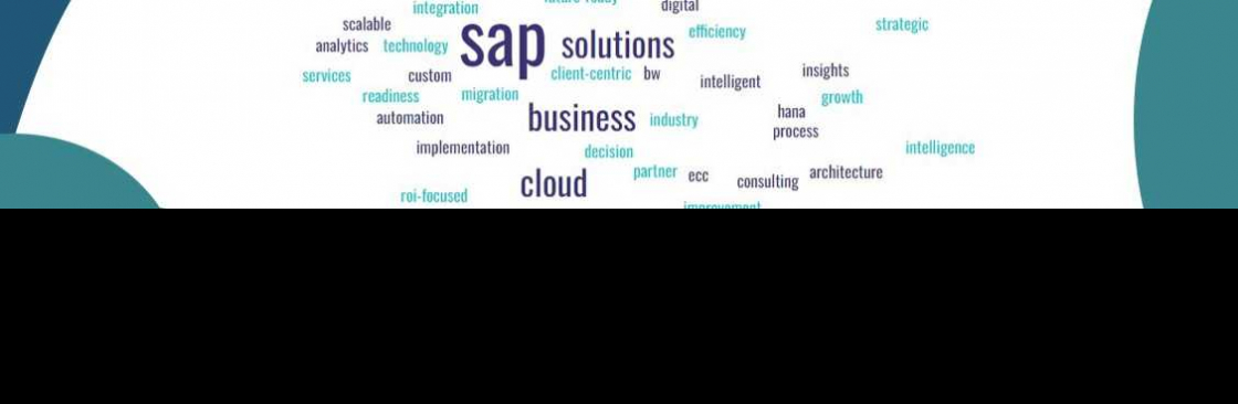 Dginnovat businesssolutions Sap Implementation Partner Cover Image