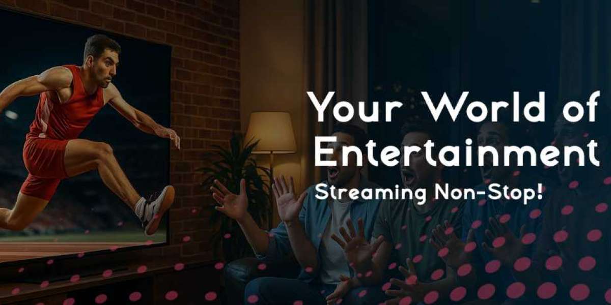 Punjabi IPTV Channels in USA: Complete Streaming Guide