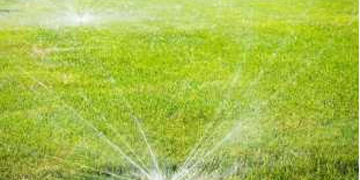 Transforming Outdoor Spaces with Expert Water and Landscape Solutions in Orange County