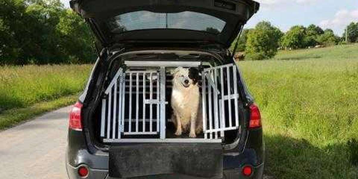 Travel Securely with Premium Dog Boxes for Ute – Built Tough by EZToolBox