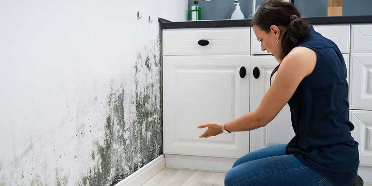 Rising Cost of Living and Its Impact on Housing Disrepair Cases in the UK