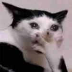 Limongrass Profile Picture