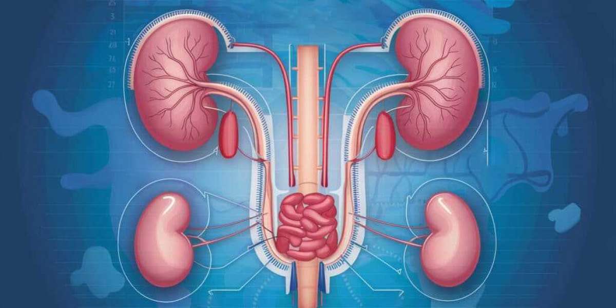 When Should You See a Urologist in Jaipur? Expert Advice Inside