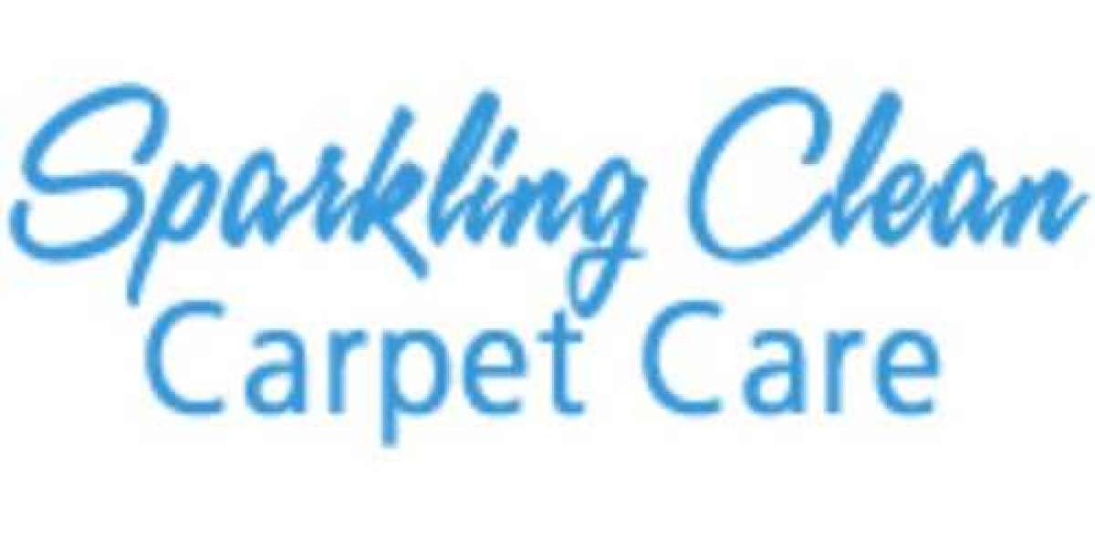 Sparkling Clean Carpet Care: Toledo’s Top Choice for Carpet Cleaning and Water Damage Services