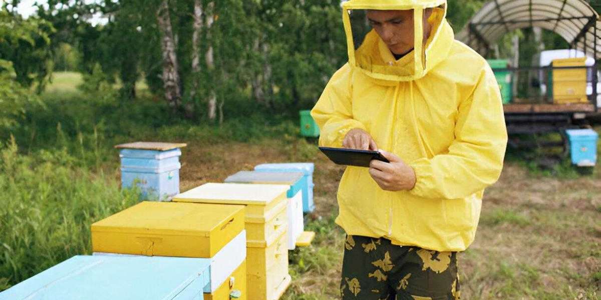 Revolutionizing Beekeeping: The Power of IoT Beehive Monitoring Systems