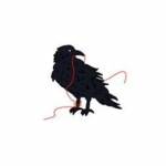 Black Bird Knitting & Needlework Profile Picture