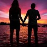 coupletoys Profile Picture