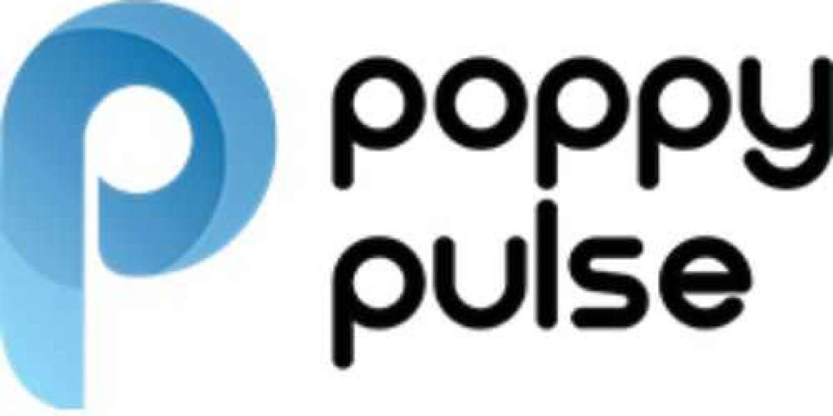 Poppy Pulse: The Leading E-Commerce Growth Marketing Agency in Delhi NCR
