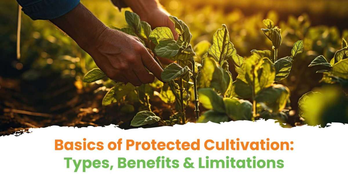Basics of Protected Cultivation: Types, Benefits & Limitations