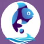 Digital Marketing Company By Fish Eye Advertising Profile Picture