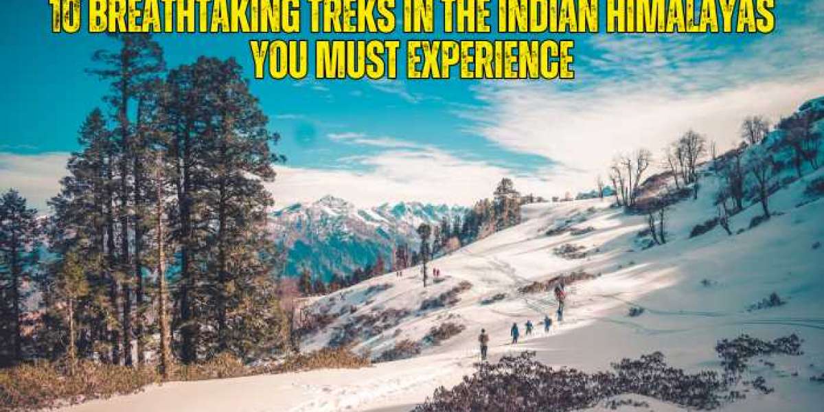 10 Breathtaking Treks in the Indian Himalayas You Must Experience