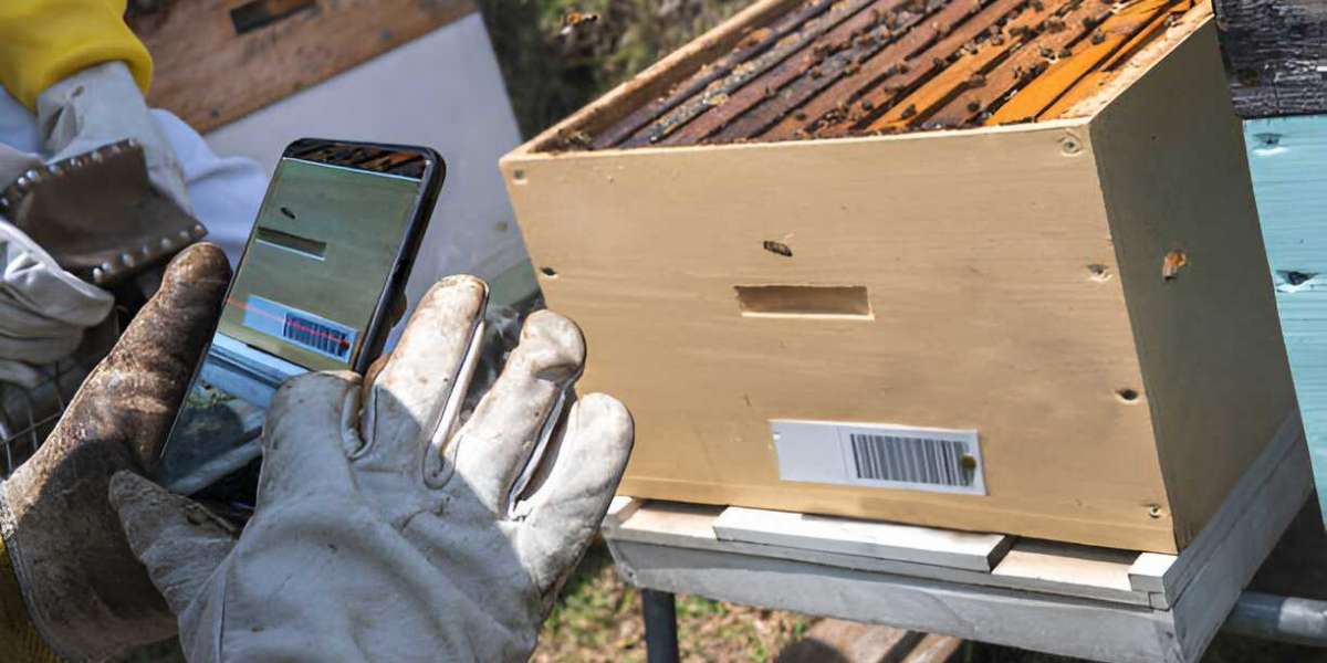 Revolutionizing Beekeeping: Smart Beehive Monitoring System for Healthier Colonies