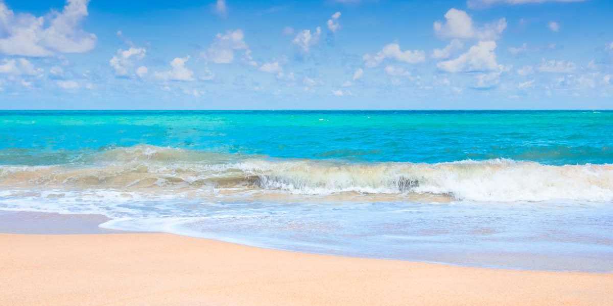 Beyond the Boardwalk: A Local’s Guide to Myrtle Beach Kids’ Adventures