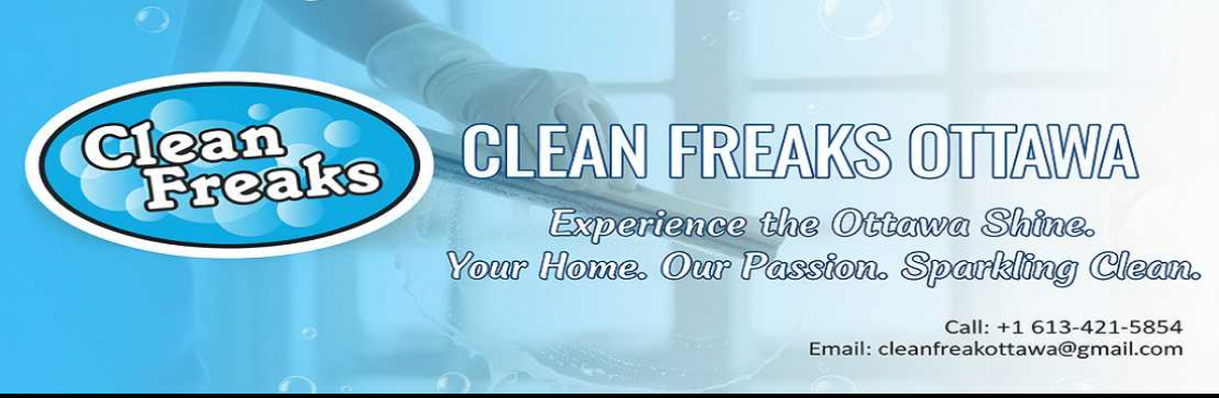 Clean Freaks Cover Image