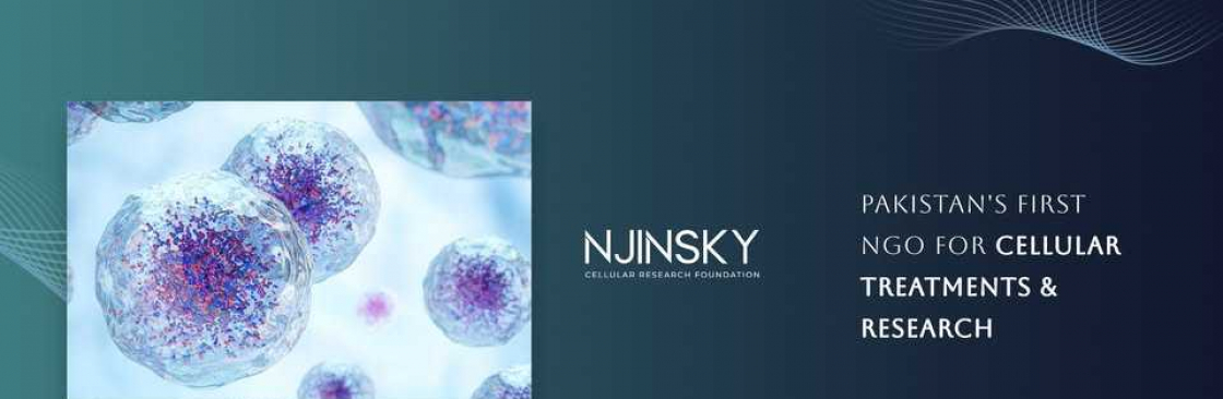 Njinsky Foundation Cover Image