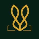 Bold Bunny Profile Picture