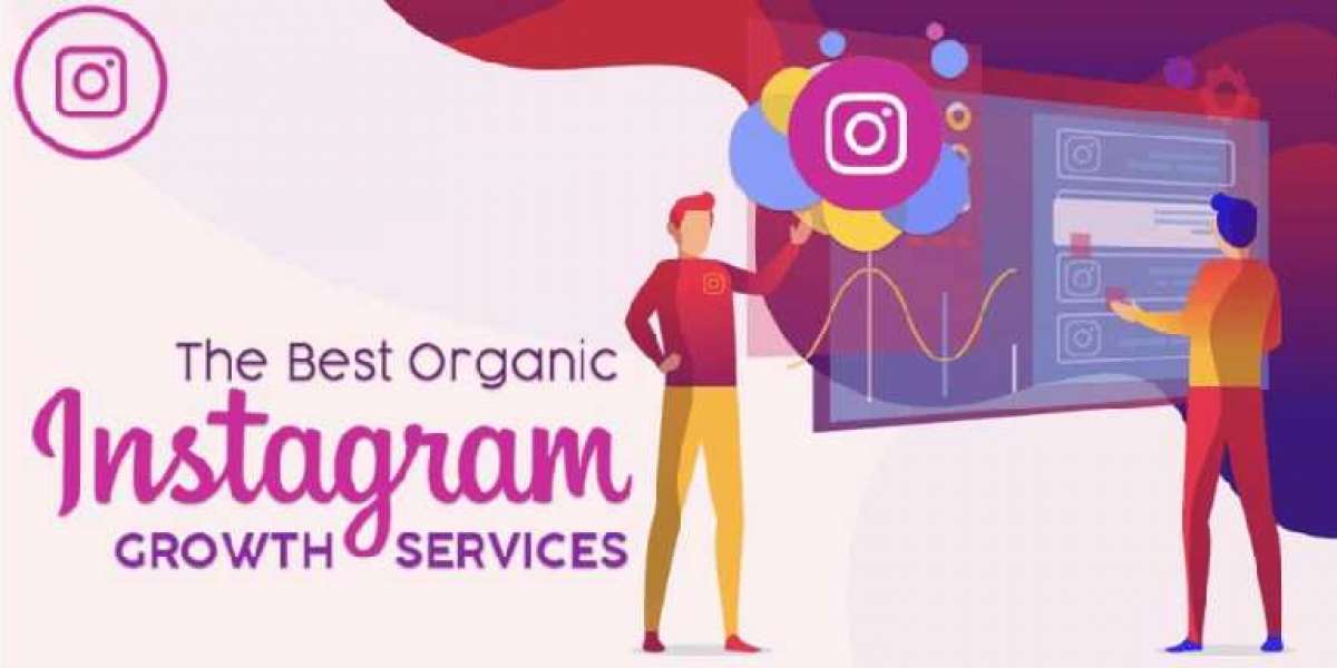 The Effective Role Of Proflup - Instagram profile growth