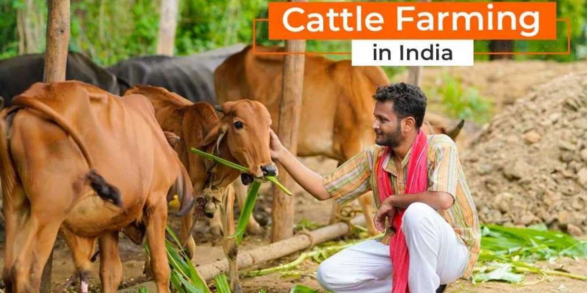 Discover Cattle Farming and Its Different Methods