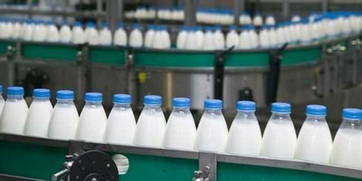 Find the Top List of Dairies & Dairy Products Distributors in UAE Using ATN Info Directory