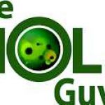 The Mold Guys Profile Picture