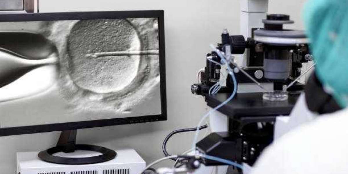 Best Clinics for Mini IVF in Lahore – Top Options for Affordable and Gentle Fertility Care