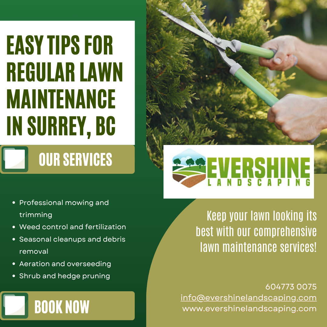 Easy Tips For Regular Lawn Maintenance In Surrey, BC - Evershine landscaping