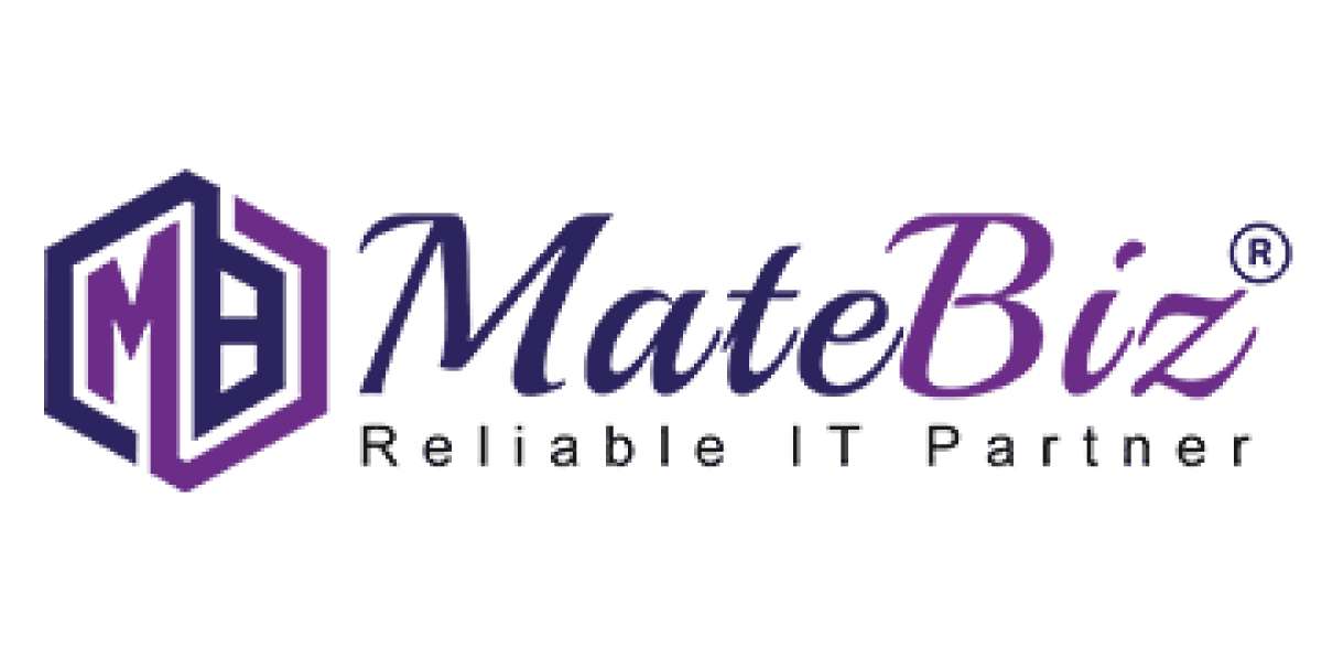 Trusted SEO Agency for Canada Businesses - Matebiz