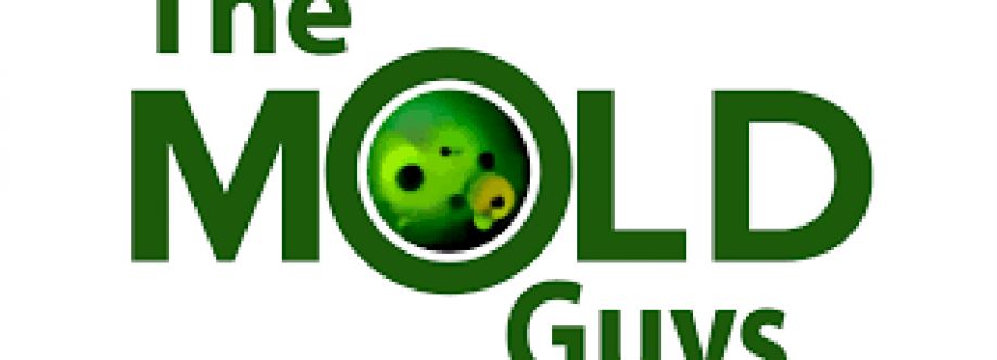 The Mold Guys Cover Image