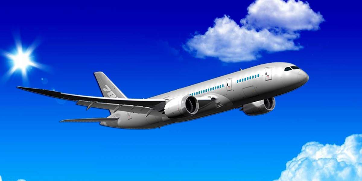 Air Canada Seat Selection Options: Economy, Premium & Business Class