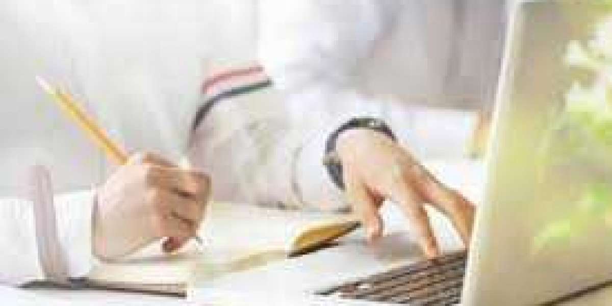 Navigating Academic Excellence: The Essential Role of Professional BSN Writing Support