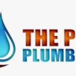 The Pro Plumbing Profile Picture