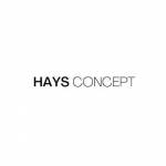 Haysconcept Profile Picture