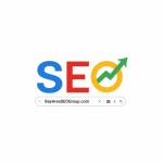 Bay Area SEO Group Profile Picture