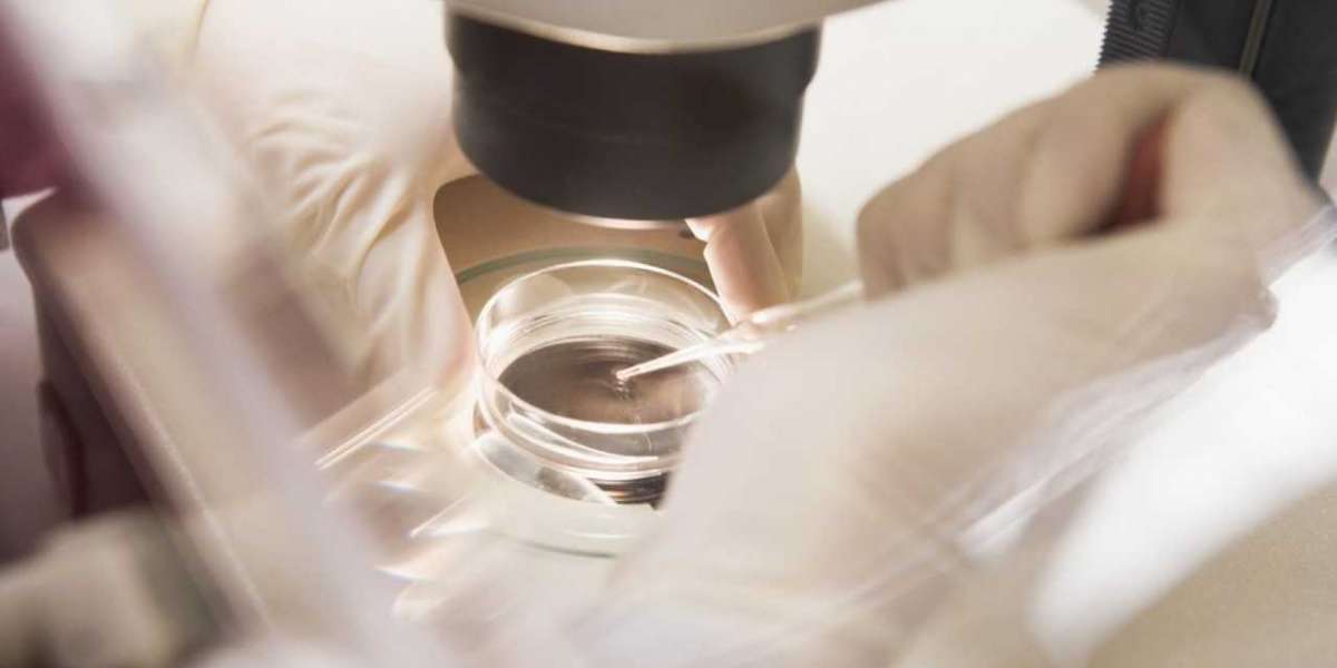 PGD Gender Selection in Lahore – A Modern Approach to Family Planning