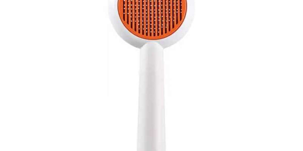 Quick Comb And Clean Strategies To Keep Vacation Spaces Fur Free