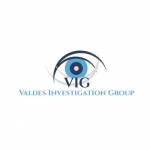 Valdes Investigation Group Profile Picture