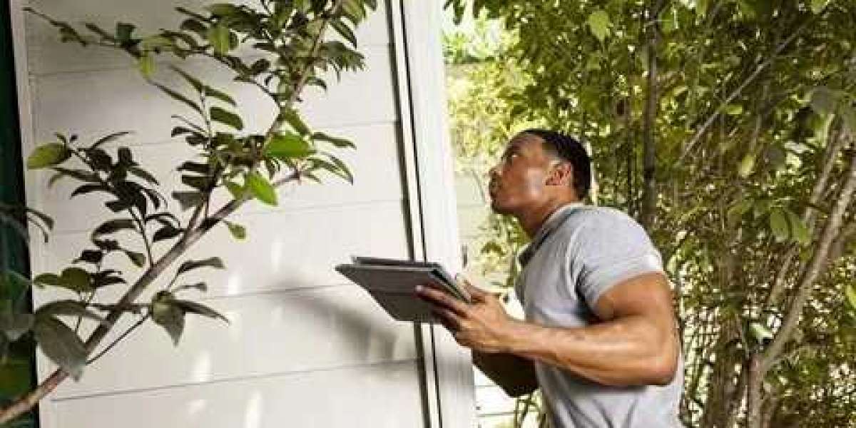 Your Ultimate Guide to Verifying Experience and Credentials in Property Inspectors