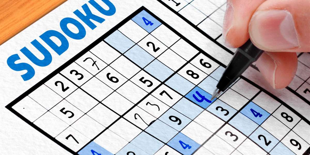The Joy and Struggle of Playing Sudoku