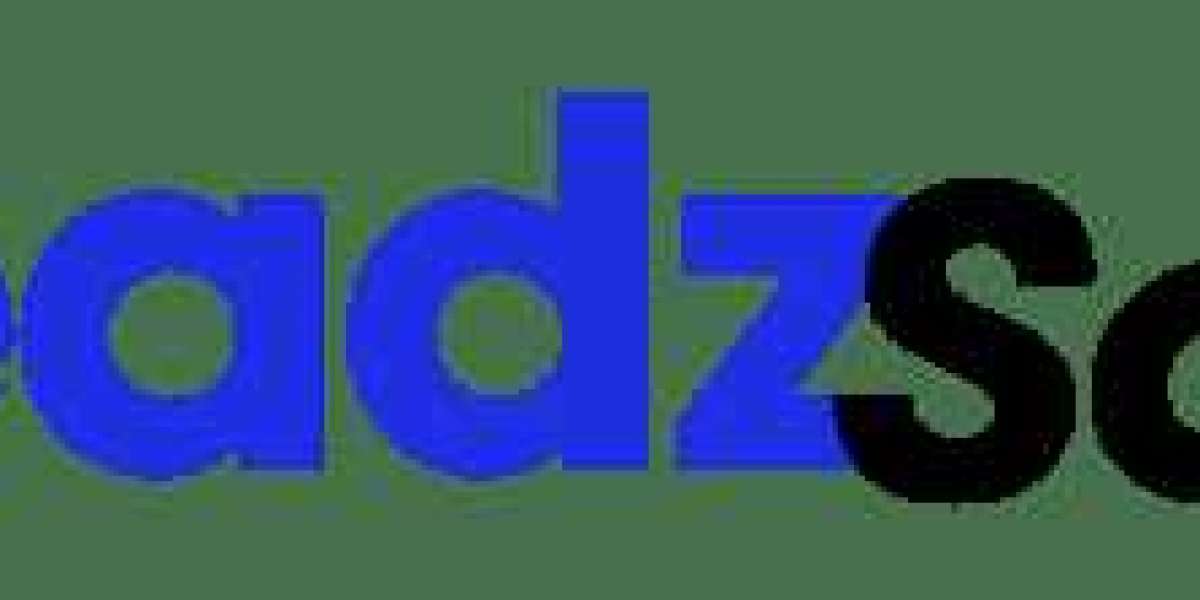 Why Choose a Professional SEO Company in Pakistan Like LeadzSoft for Long‑Term Digital Success
