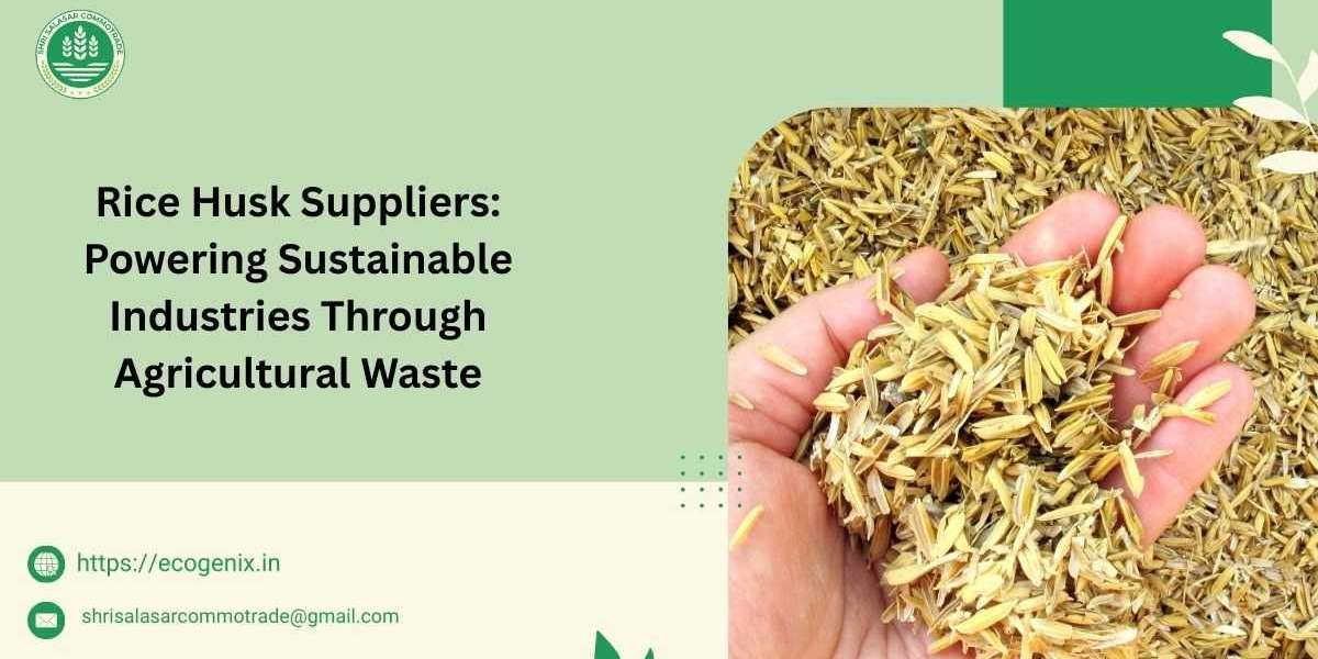 Rice Husk Suppliers: Powering Sustainable Industries Through Agricultural Waste