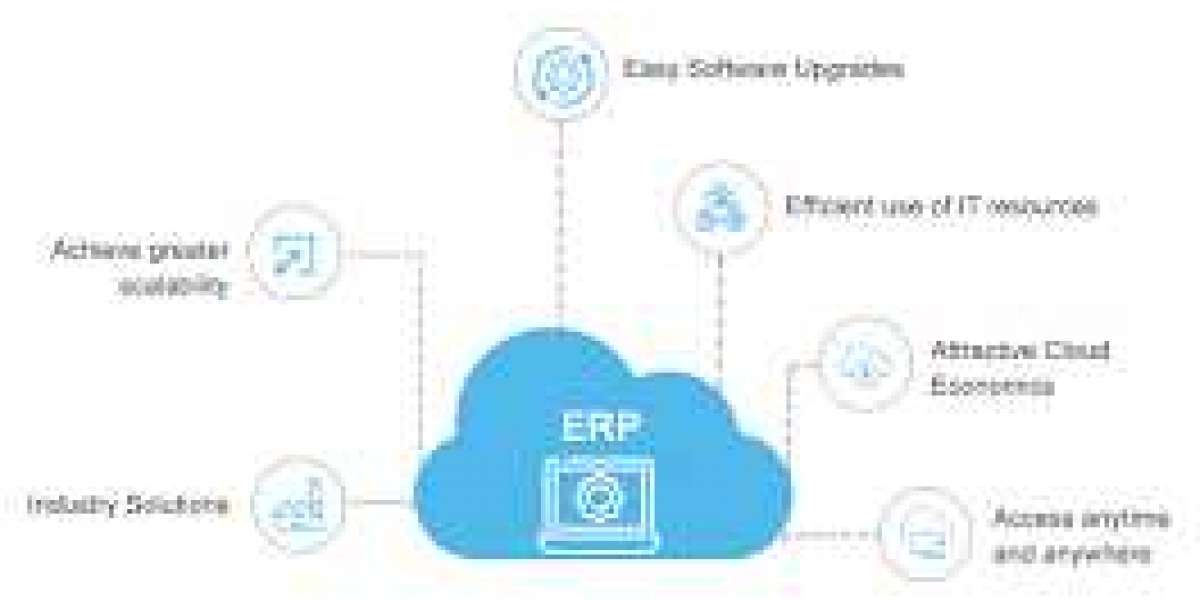 ERP Data Cleansing Services – Index Co