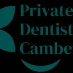 Privatedentistcamberley Profile Picture